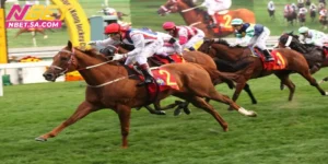 Cá cược đua ngựa NBET: Trải nghiệm tốc độ, thắng đỉnh cao
