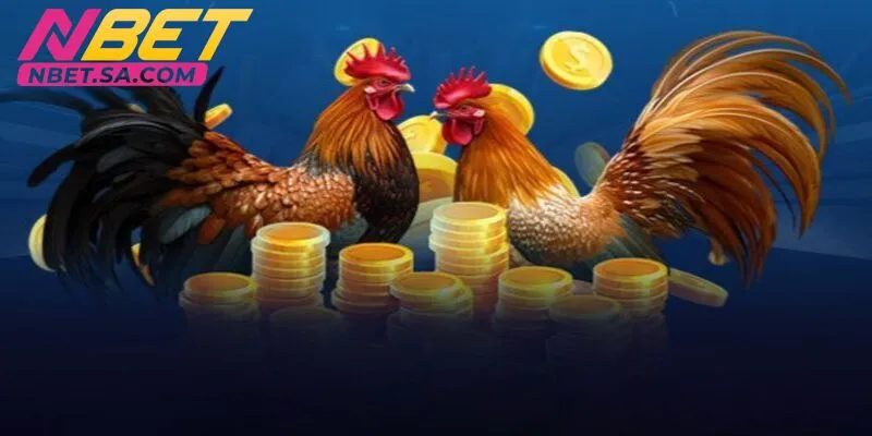 Không phân tích kèo cược là sai lầm phổ biến mà nhiều người mắc phải