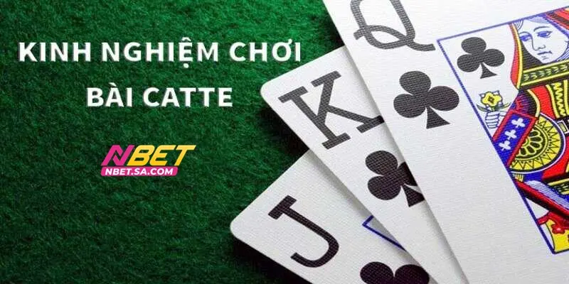Mẹo chơi bài catte từ cao thủ